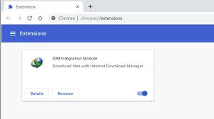 IDM Crack Build 14 Patch + Registration Key Free Download [Latest]