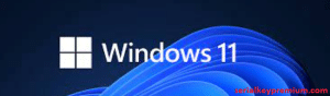 Windows 11 ISO 32 Bit or 64 Bit 