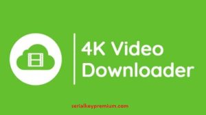 4k_video Full Windows 10 & 11
